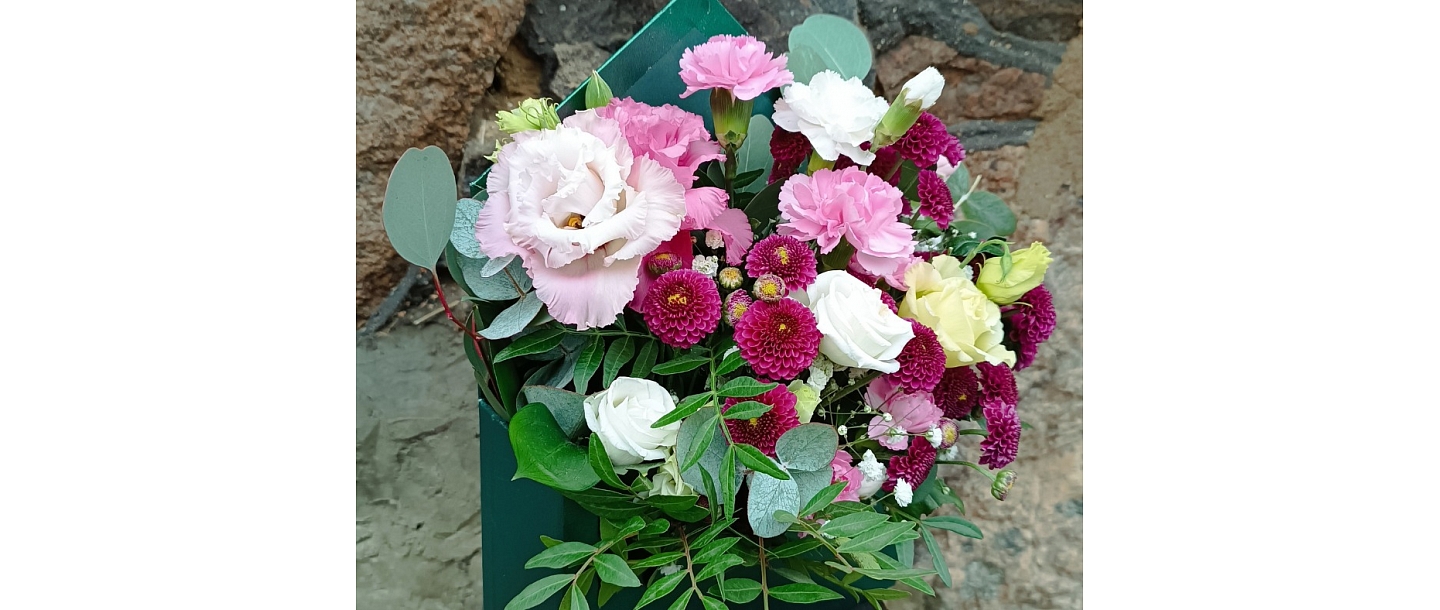 Amarillis, flower shop 