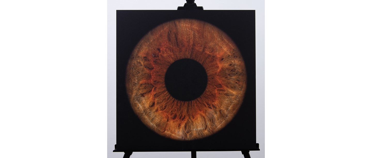 High quality photo of eye on metal painting
