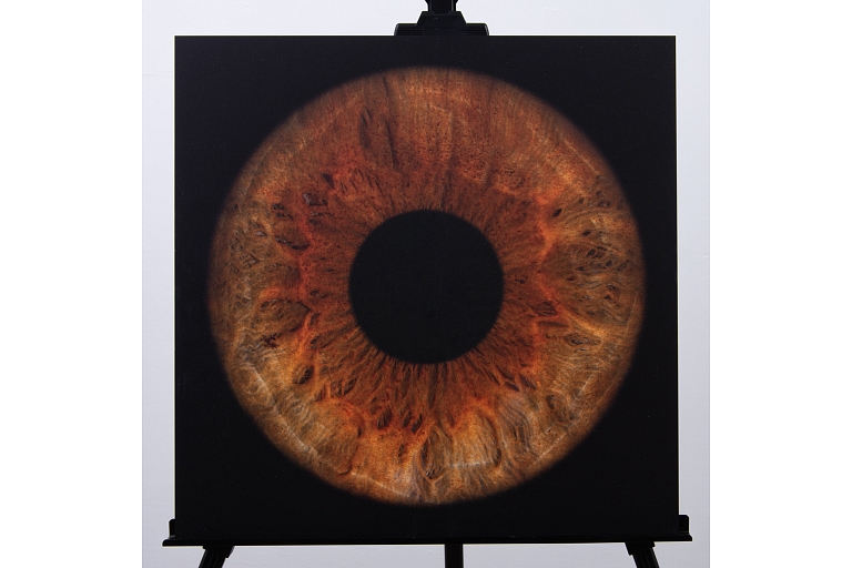 High quality photo of eye on metal painting