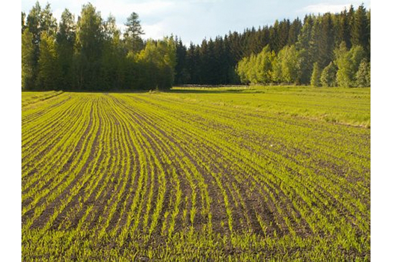 Agricultural services