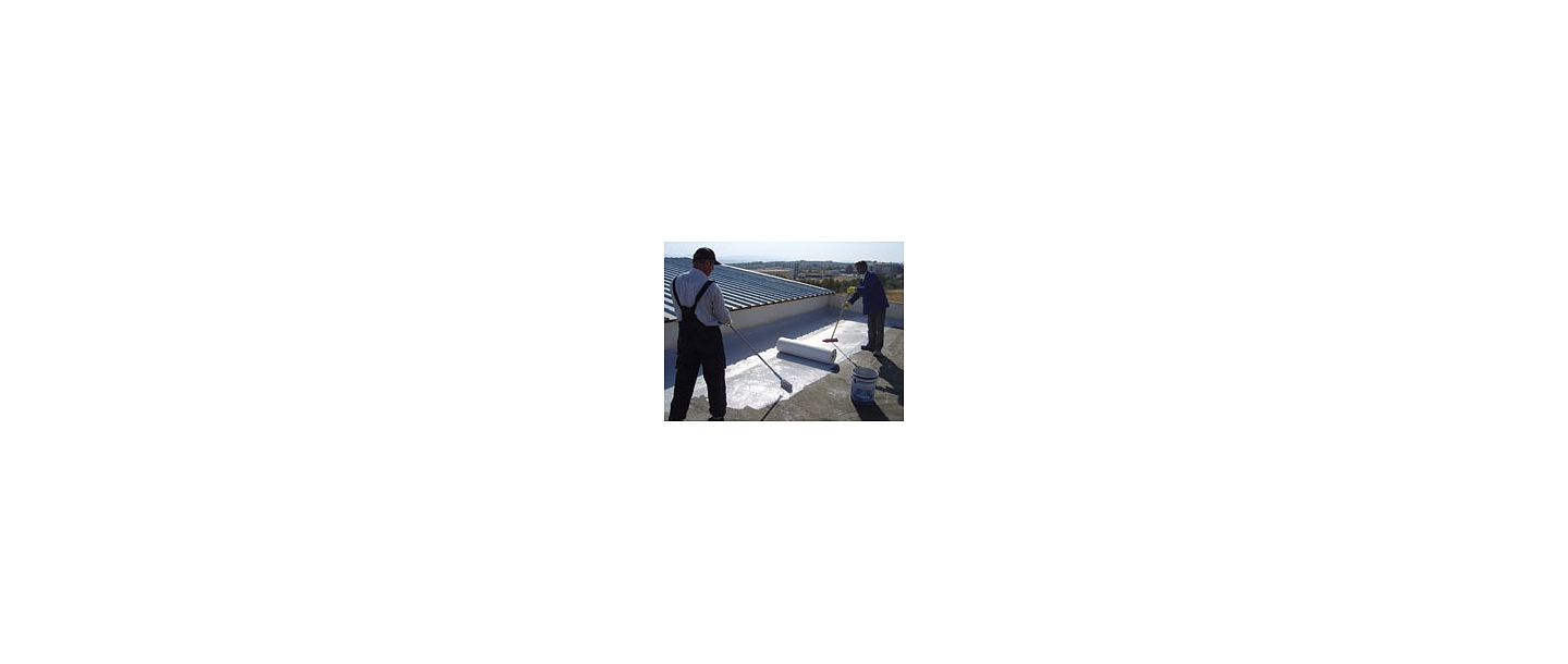 Roof renovation, before, LDE