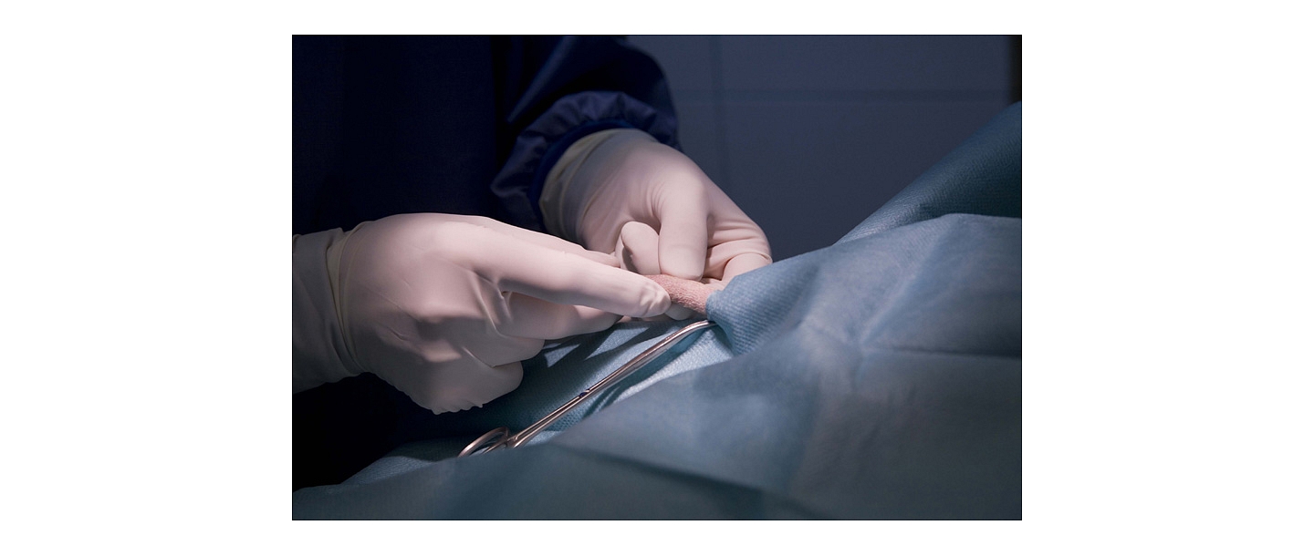 Complicated surgery for animals