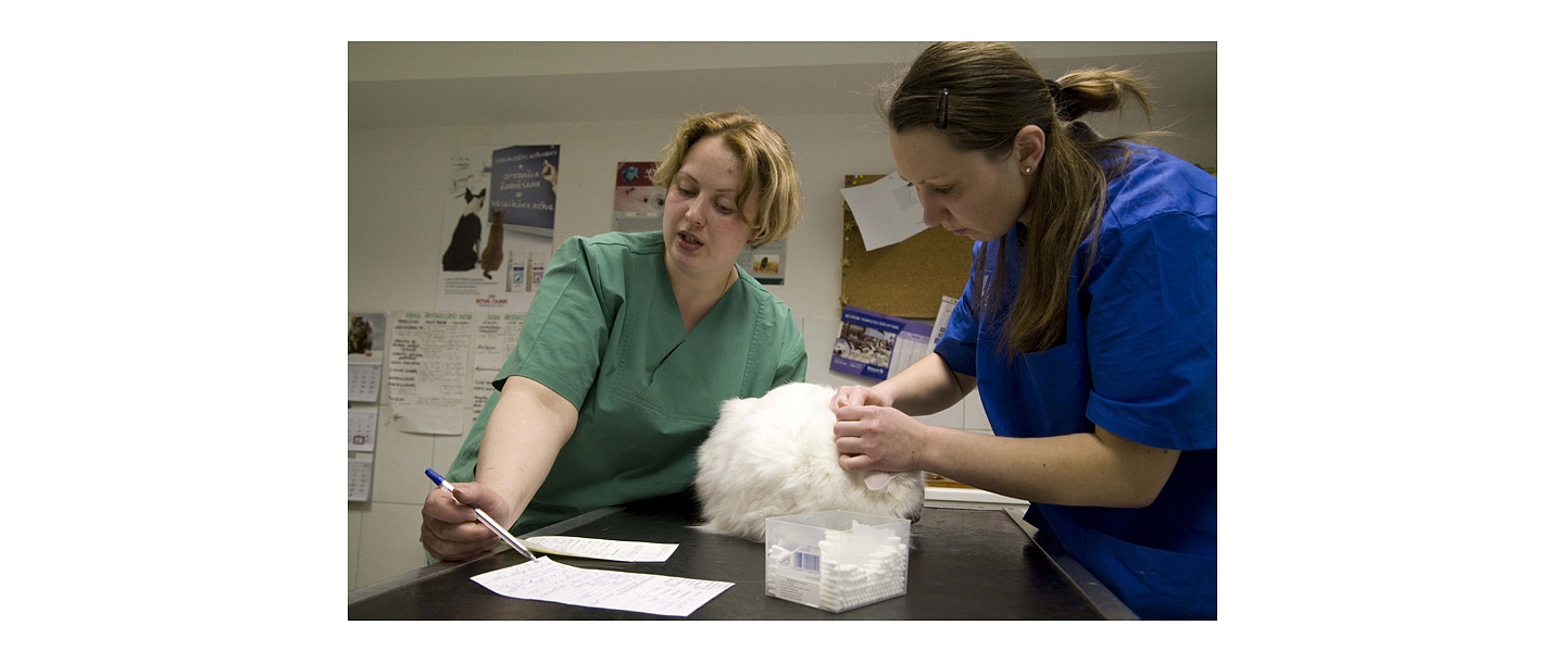 Laboratory tests on animals