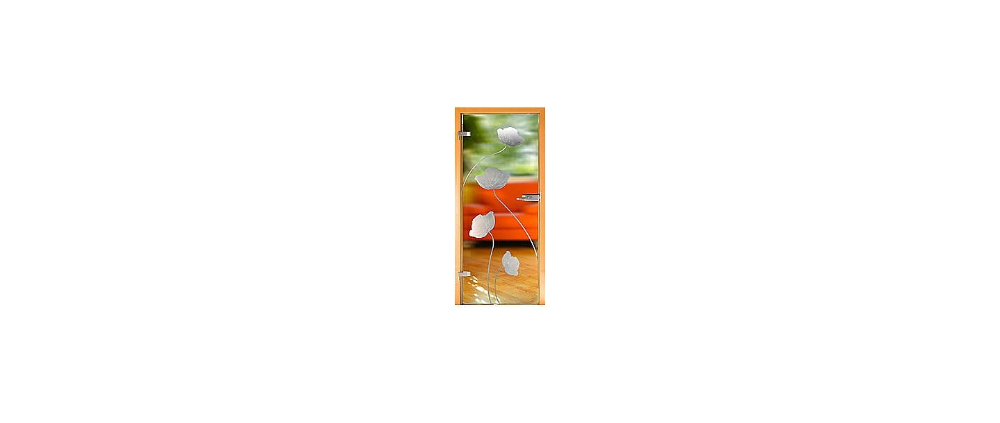 Glass doors