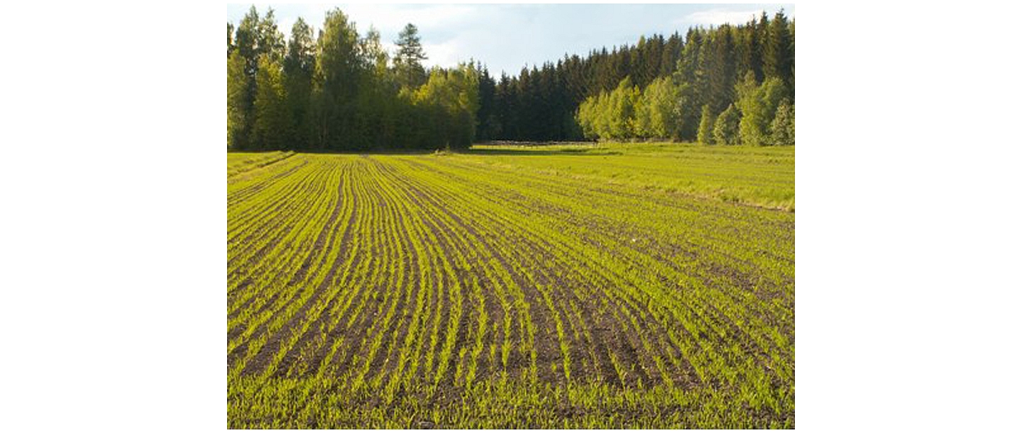 Agricultural services
