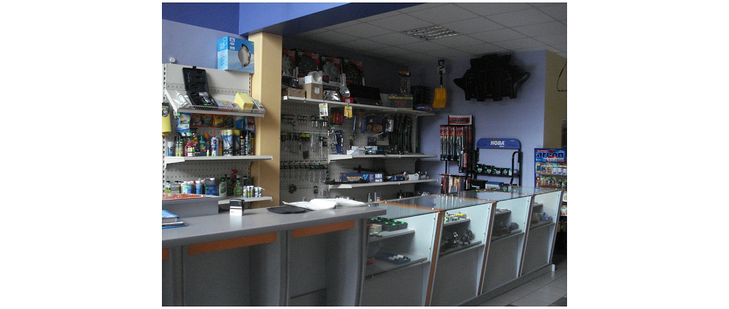 Repair of minibuses in Preili