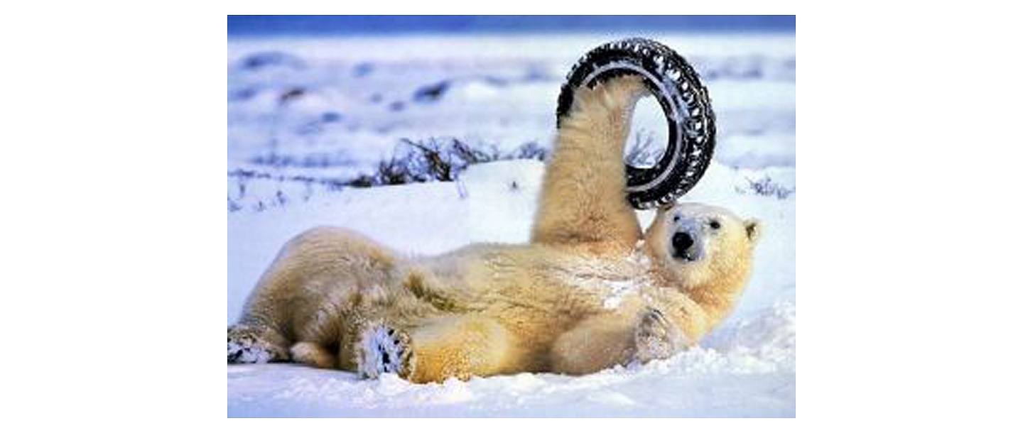 Tyre assembly