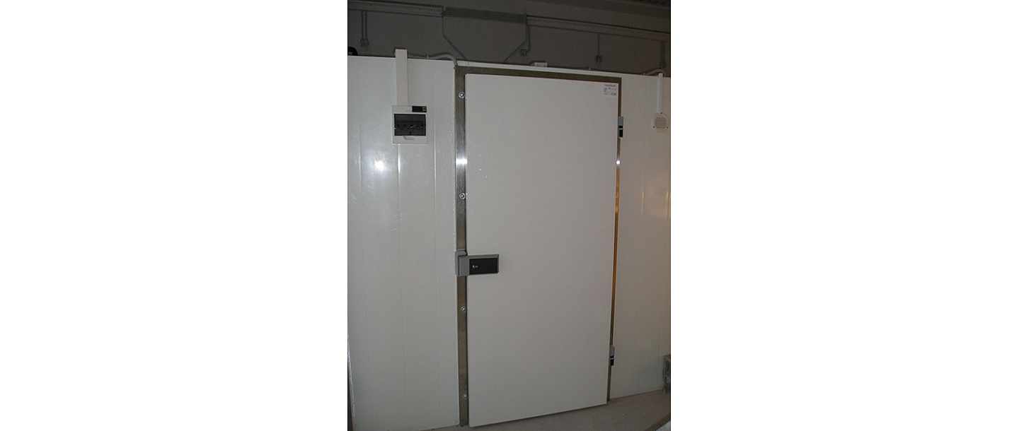 Freezer doors
