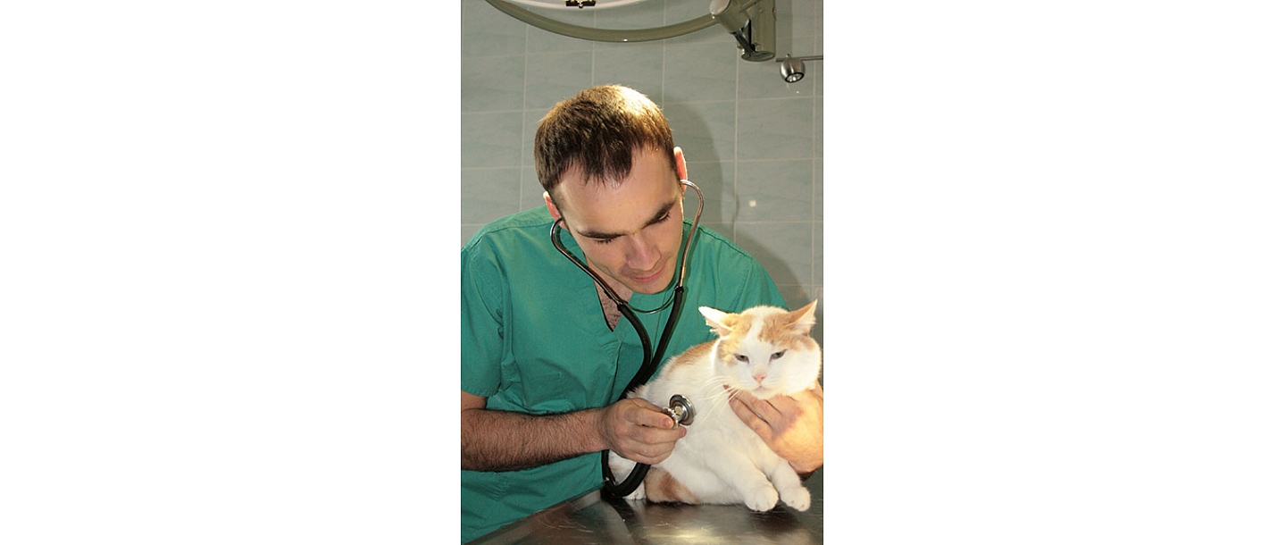 Augstas kvalitātes veterinārā palīdzība Latgalē, stacionārs