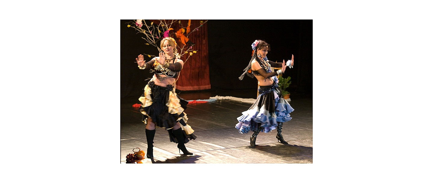 Exotic dance studio, private lessons