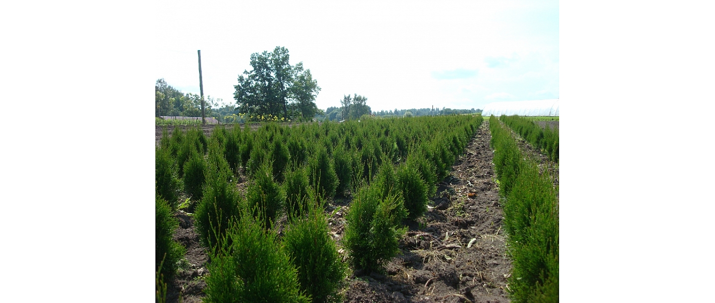 




horticultural company