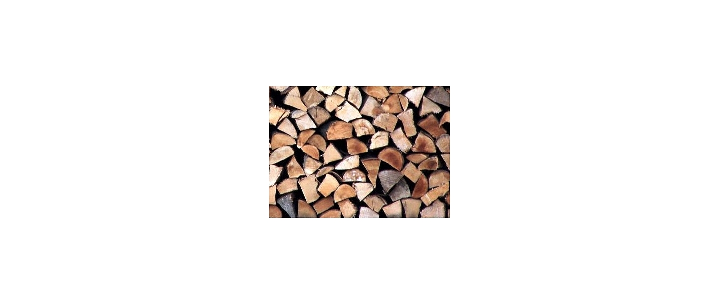 Sale of split firewood logging Valmiera Vidzeme Limbazi