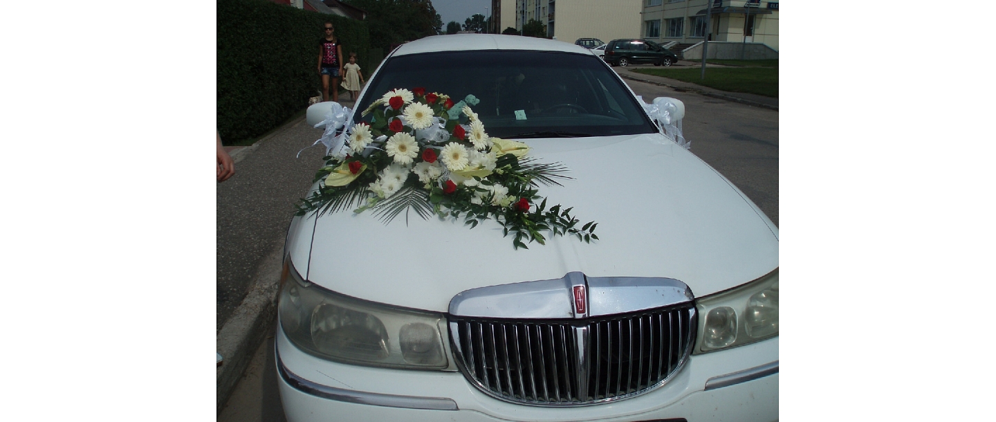 Balti ziedu pušķi auto noformēšanai
