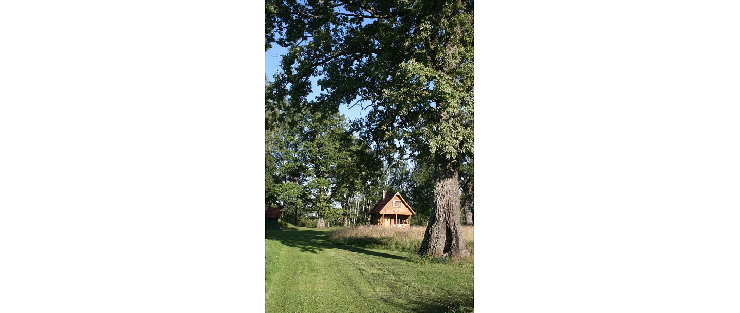 Дом выходного дня