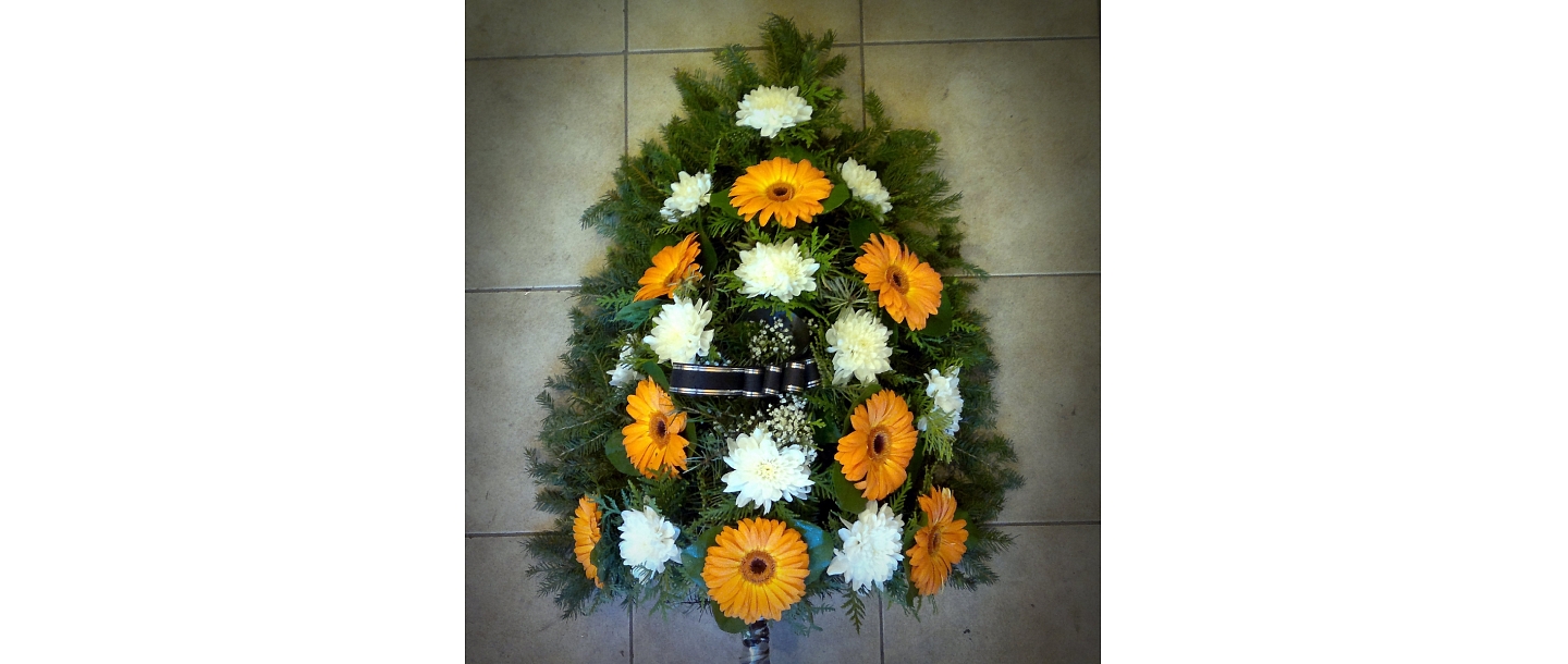 Funeral ostriches to order in Zemgale