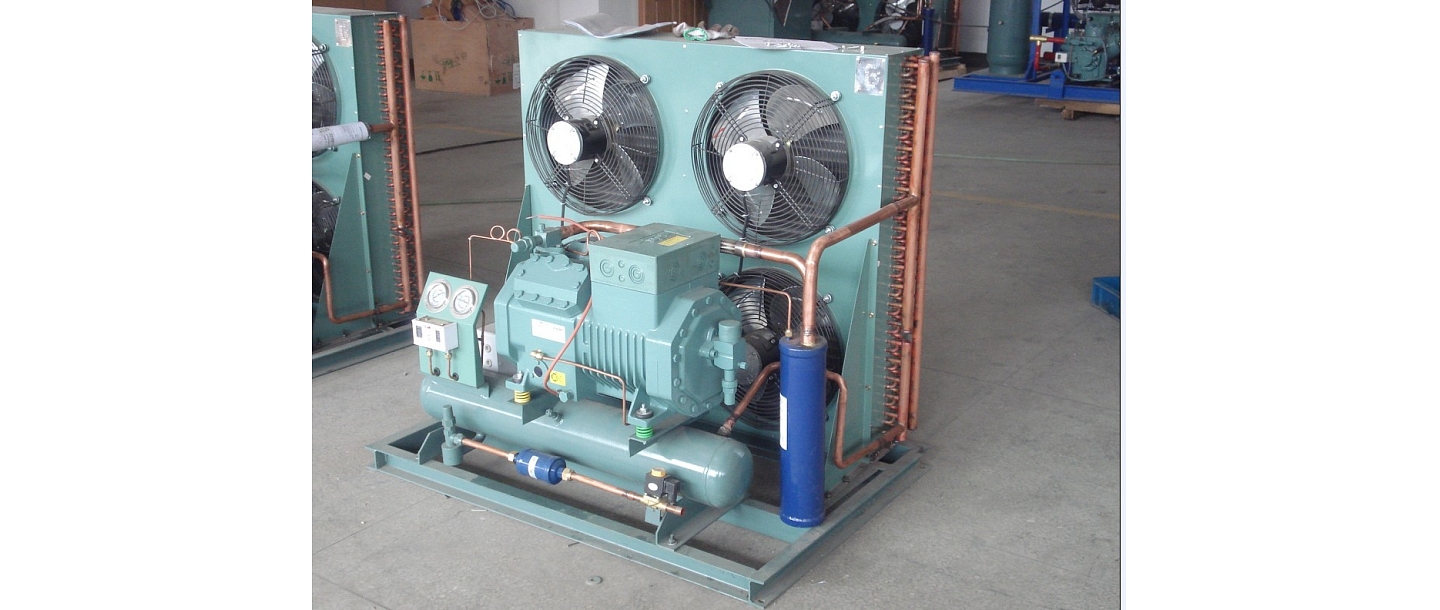 Bitzer aircooled condensing max-cool