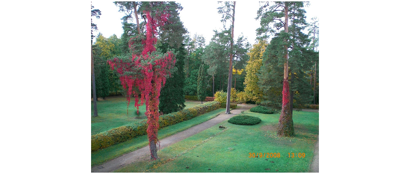 Rehabilitation in Tervete Nature Park