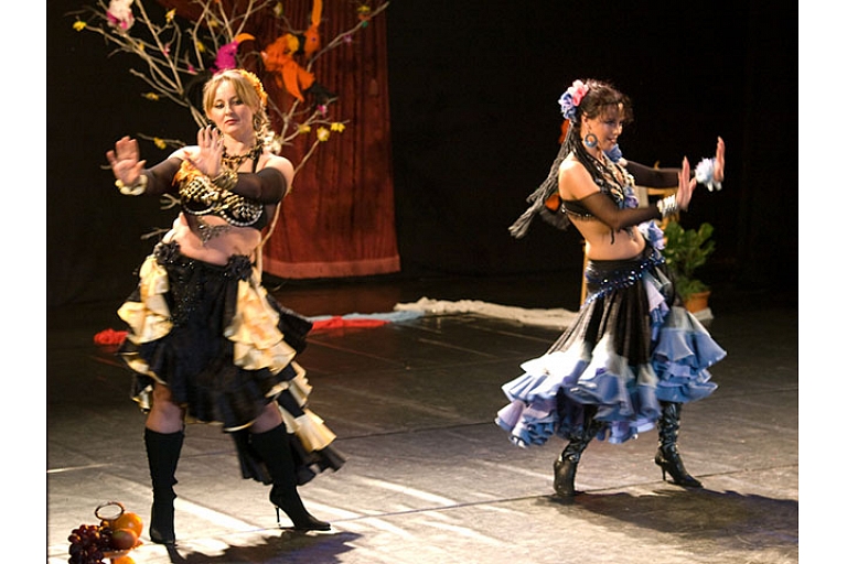 Exotic dance studio, private lessons