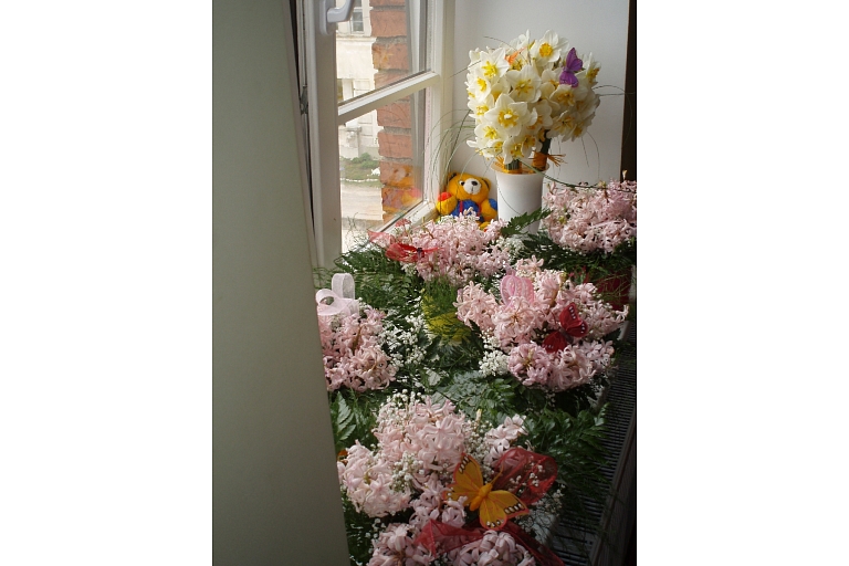 Flowers in Broceni