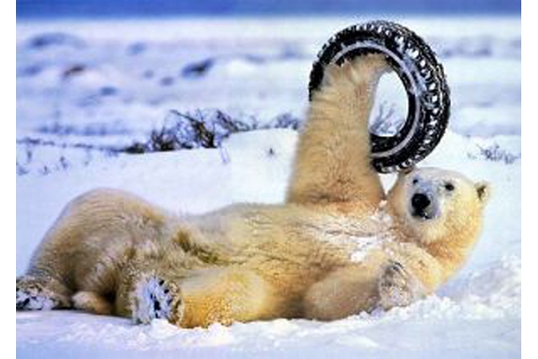 Tyre assembly