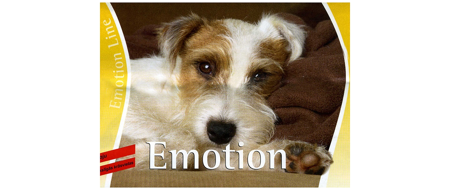 Veterinarian in Riga