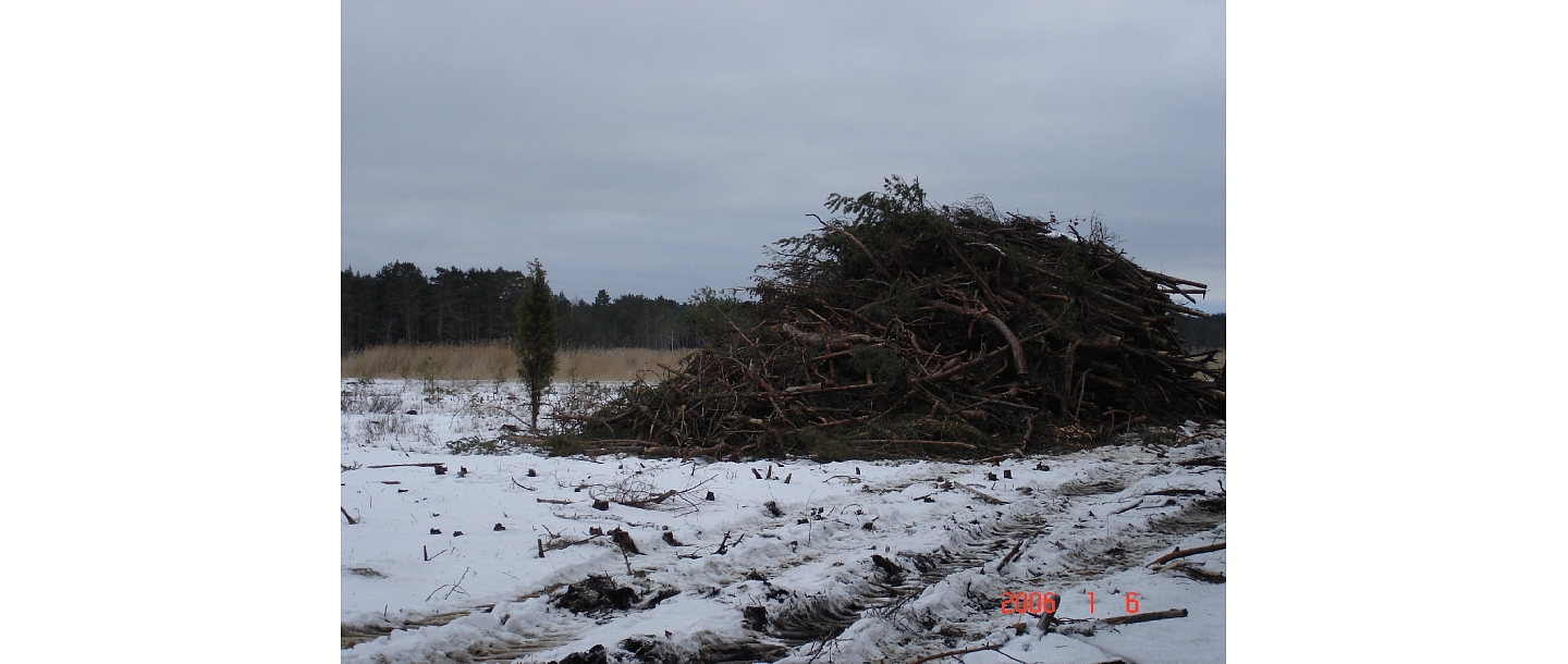 Purchase of felling residues in Kurzeme