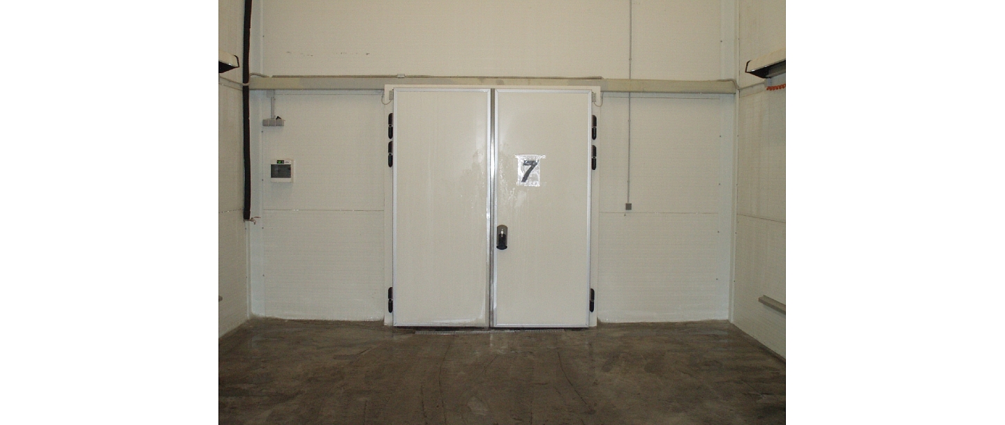 Freezer doors