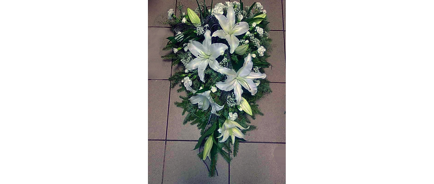 Funeral ostriches in Ogre