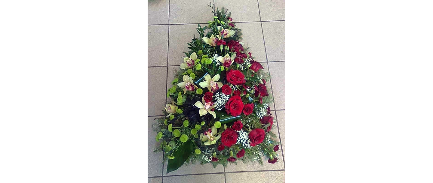 Funeral ostriches in Ogre