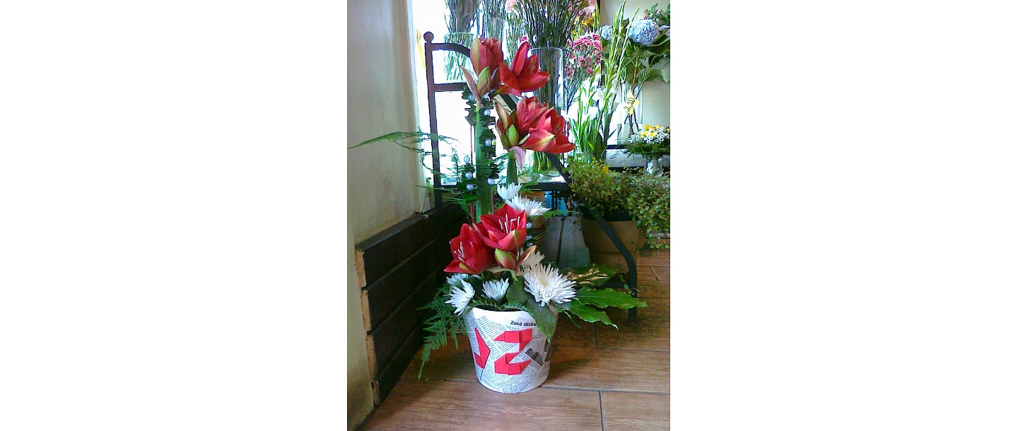 thematic compositions