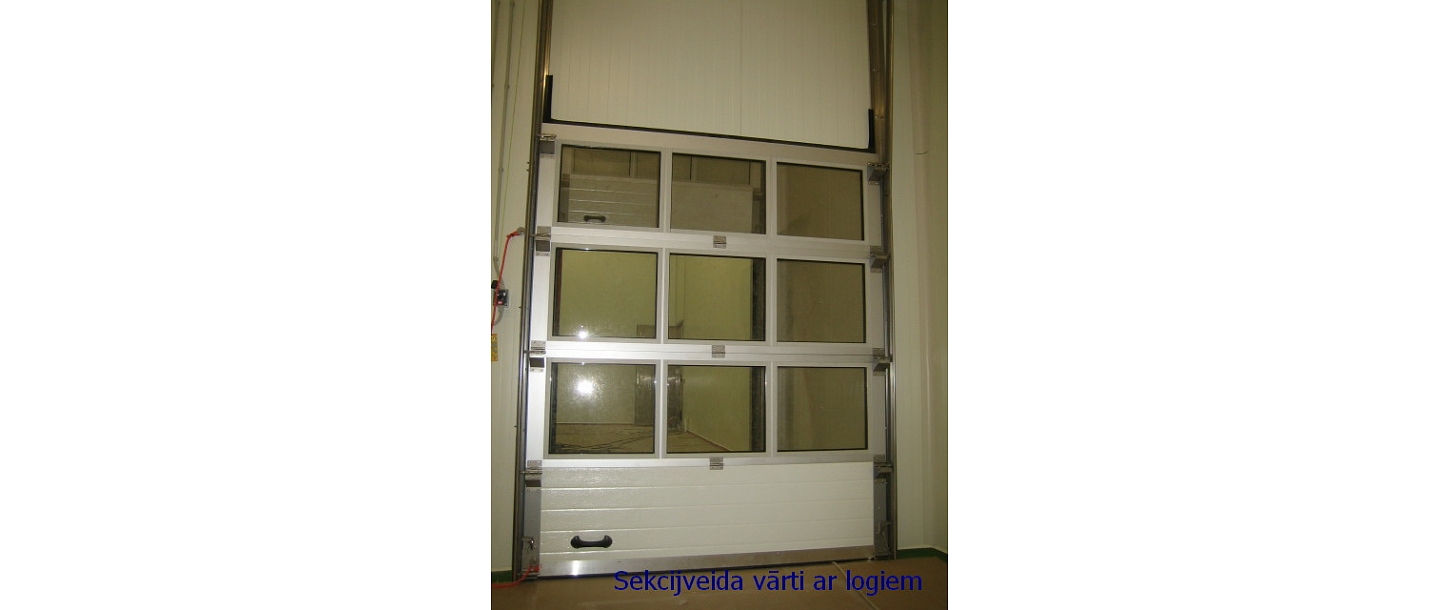 Sectional gate with windows