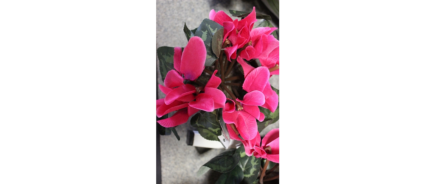 Flowers, flower delivery, flowers, Smiltene