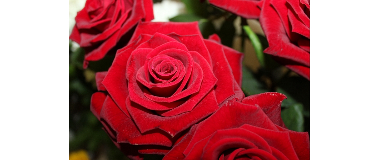 Flowers, flowers, flower shop, Smiltene