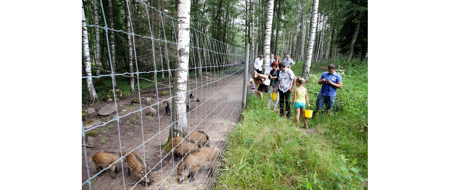 сад с оленями