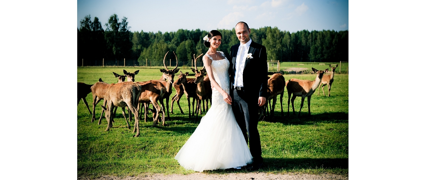 место для свадьбы