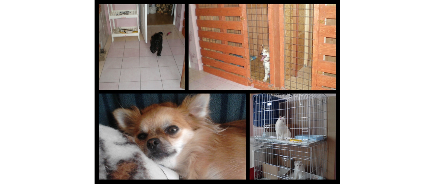 Содержание животных в Резекне