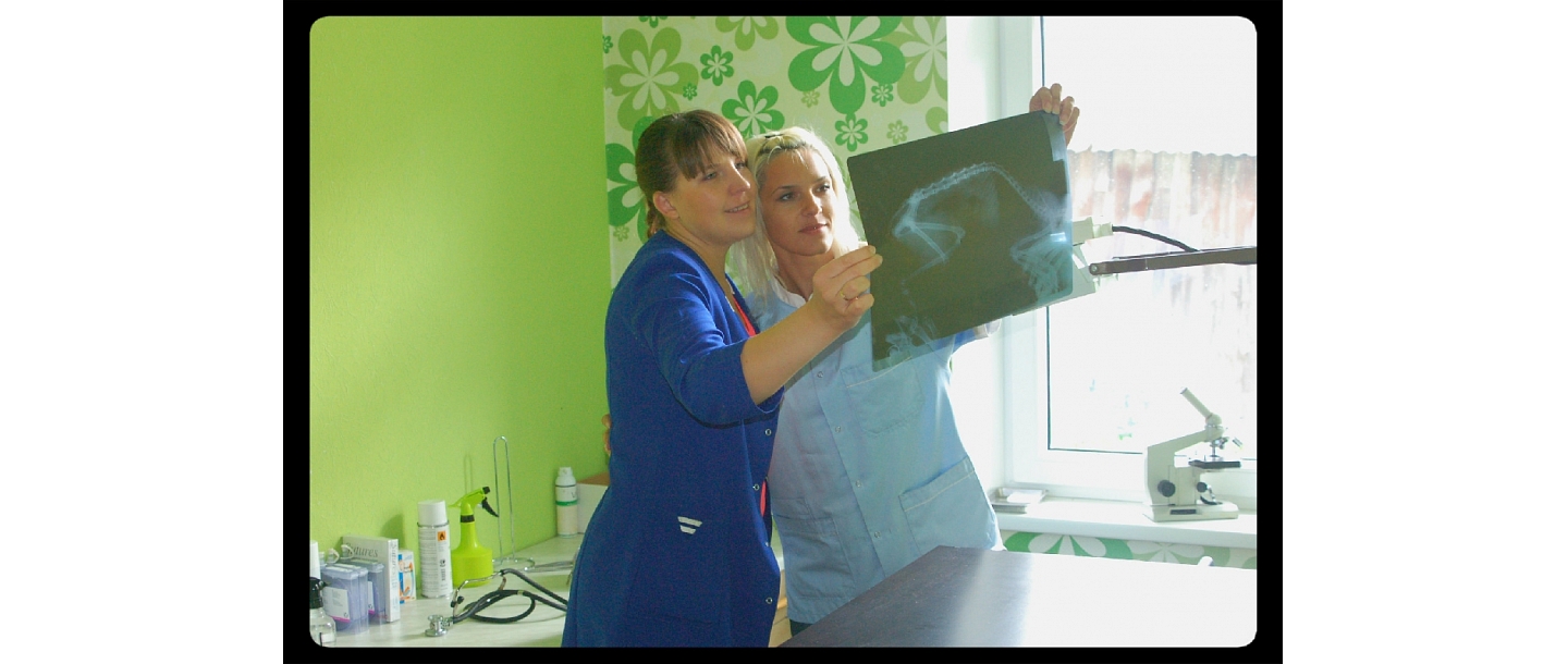 Рентгенологические исследования животных в Резекне