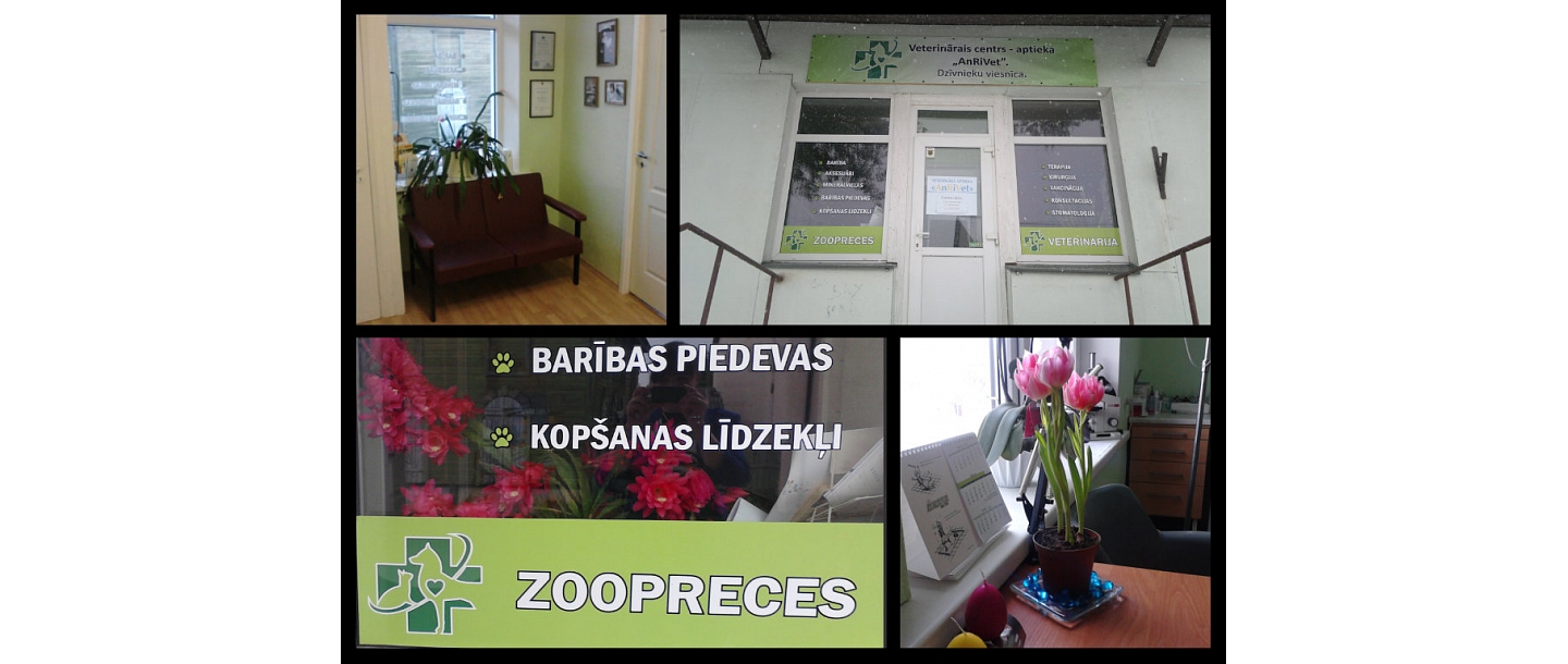 Animal feed in Rezekne