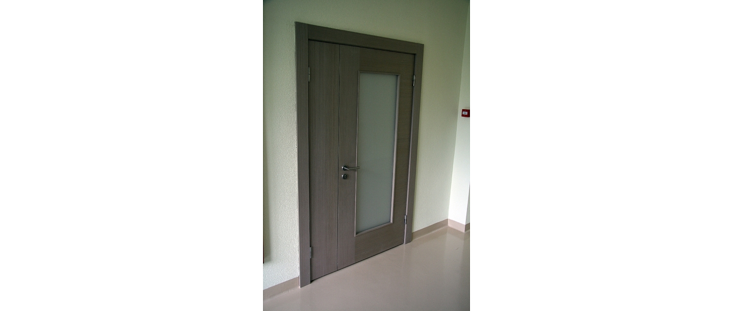 Institutional doors