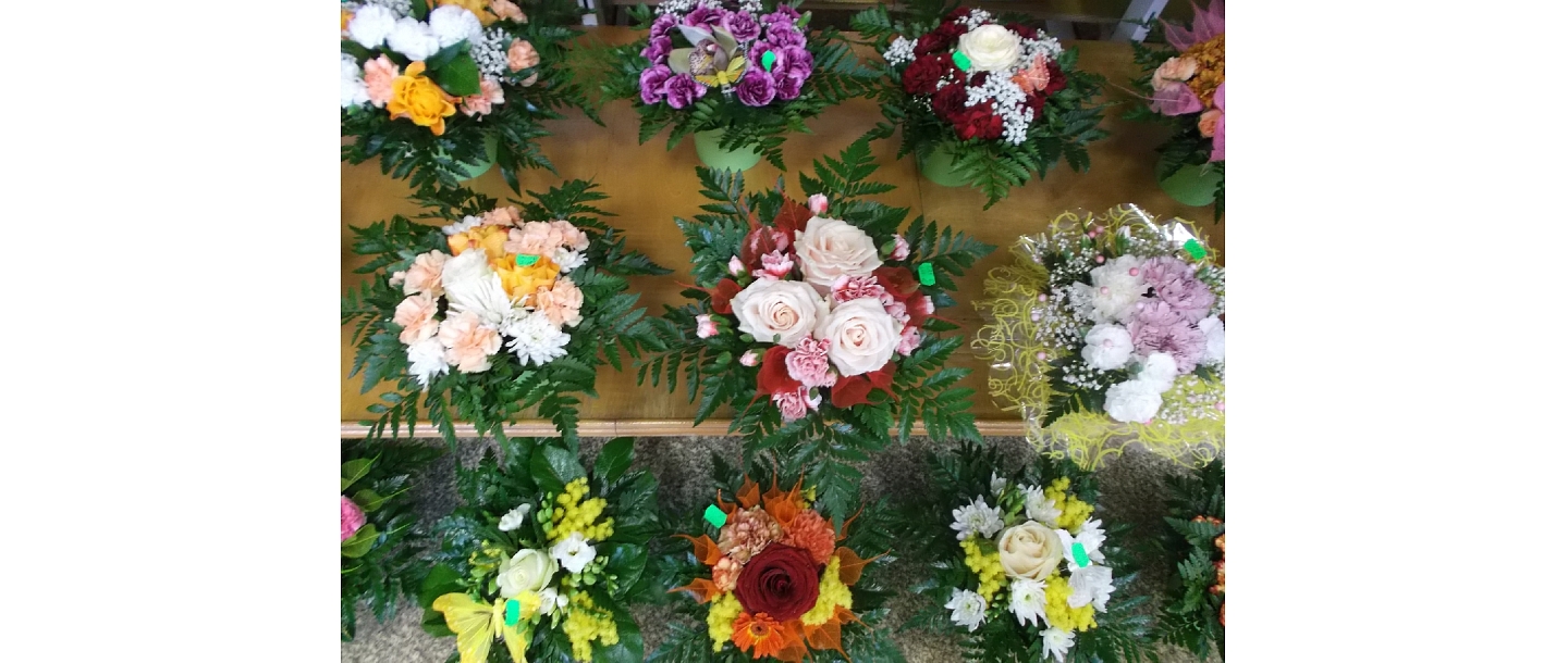 Floristics in Alūksne