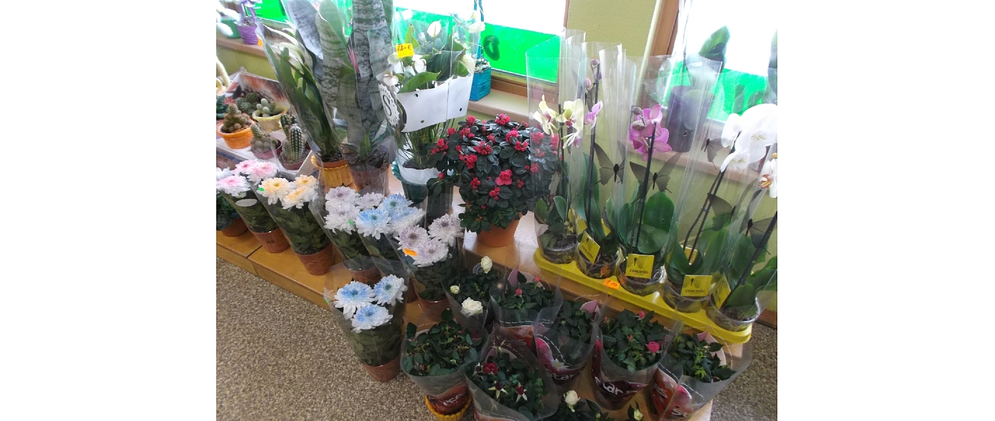 Flowers