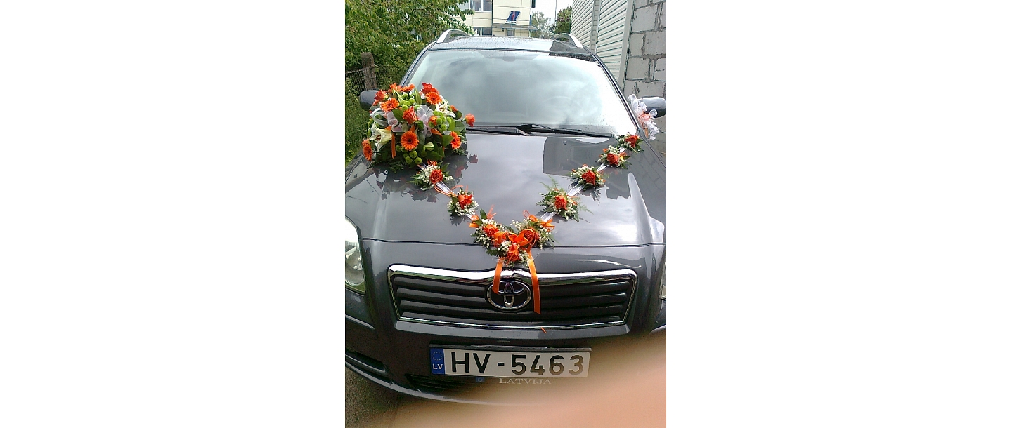 Car registration in Talsi