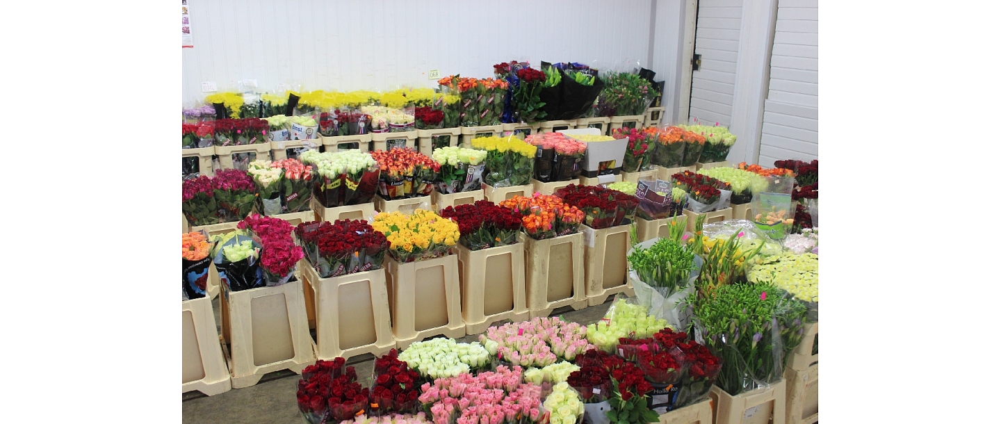 Wholesale of flowers for weddings in Jurmala