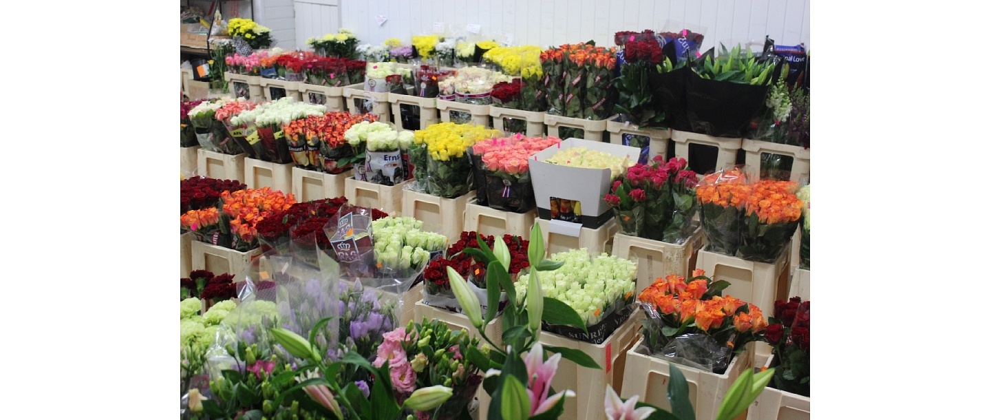 Flower base in Jurmala