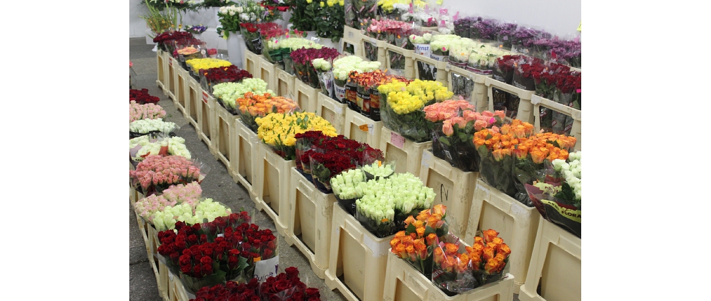 Flower base in Bolderāja