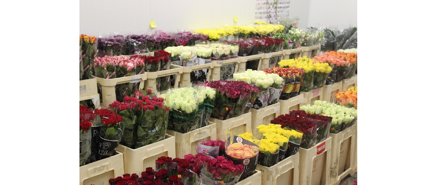 Wholesale of flowers on Stūrmaņu street in Riga