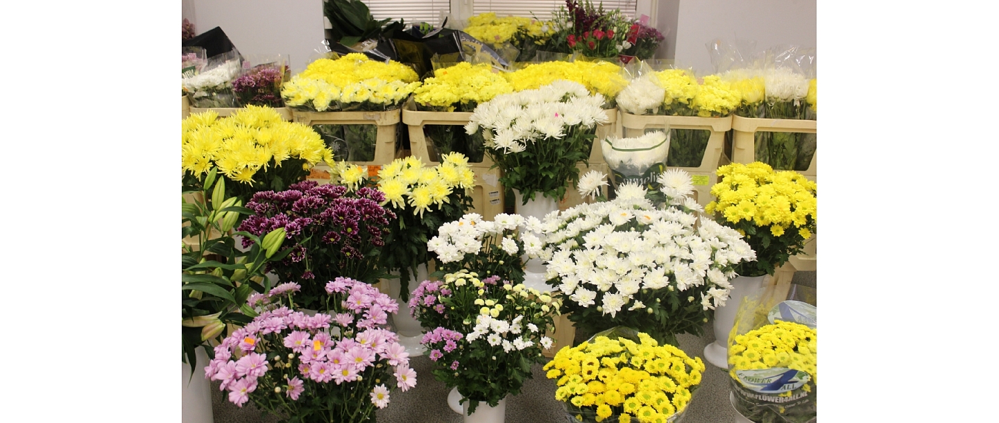 Flower wholesale in Riga