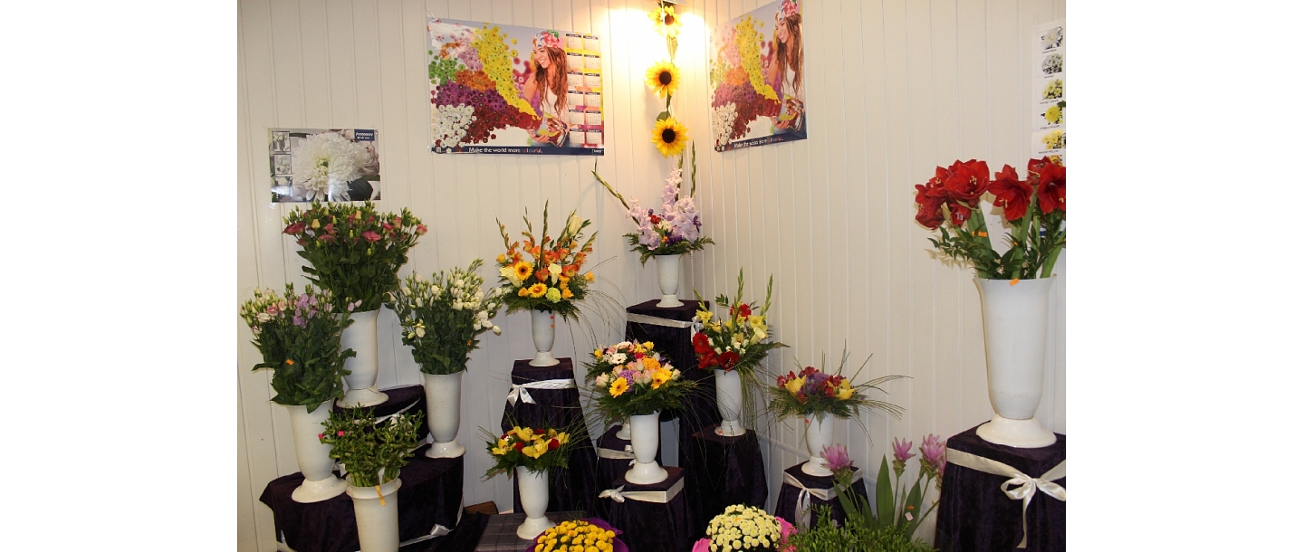 Flowers for room decoration