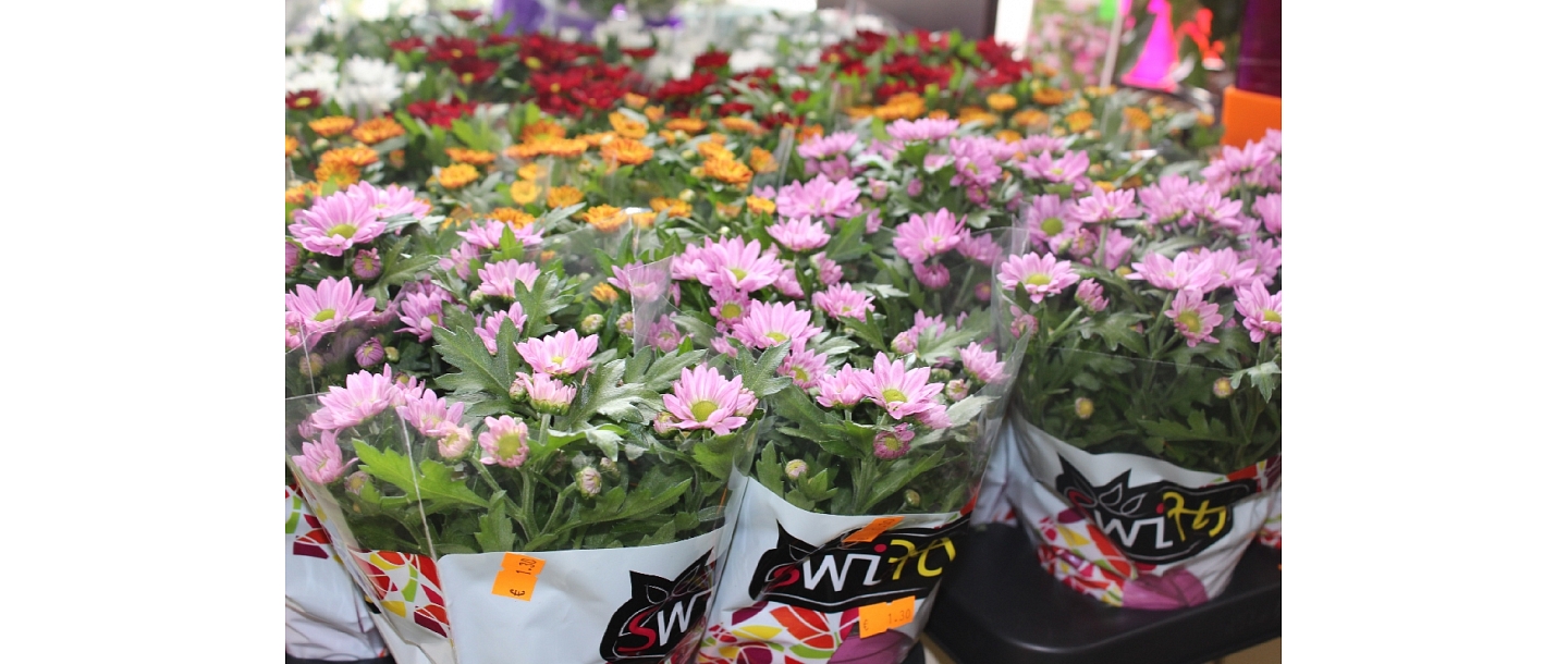 Flower delivery to addressee