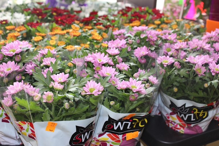 Flower delivery to addressee